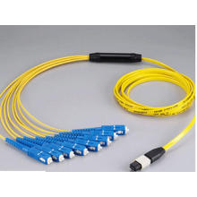 MPO-Sc 12core Mini Round 3.0mm Fibra óptica Patchcord